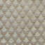 Silvio Fabric