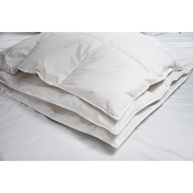 Ensemble d'édredon en duvet synthétique toutes saisons GLC par Rifz, Double