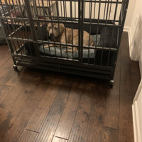 Tucker Murphy Pet Adrihana Pet Crate Size: 34.46 H x 42.52 W x 29.92 D DAD221B022614557ADF472F5958CE9E2