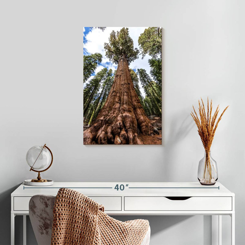 Harnek General Sherman Tree, 24" H x 16" W