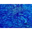 Confusion 01 Print by Alicia Lopez-1003349600