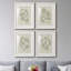 «Soft Shape I», ensemble de 4 reproductions de cadres photo-1393158495-1393158561