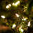 100 Lt String Light (Set of 2)-101646278-101646279