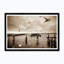 Gull Gathering In Sepia Print