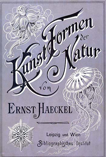 «Kunstformen Der Natur Artforms in Nature Book Cover», reproduction d'impression, H 66 po x l 44 po x P 1,5 po