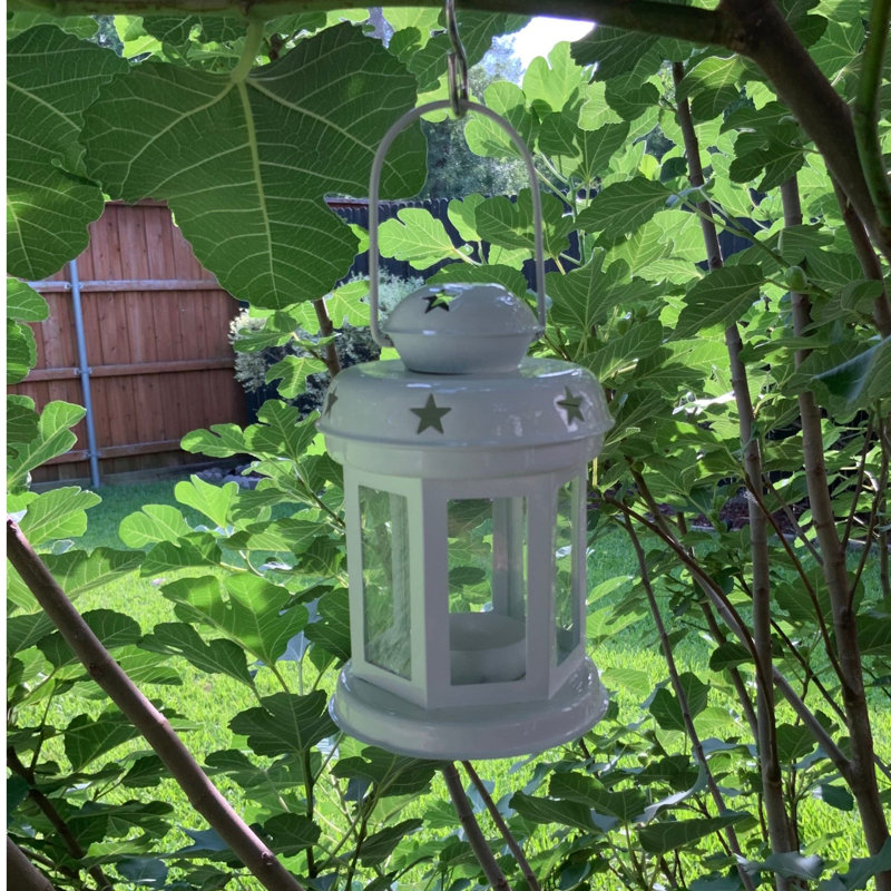 Mini All Star Lantern