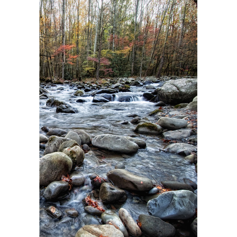 Porters Creek II by Danny Head - Wrapped Canvas Art Prints, 30cm H x 20cm W x 3.8cm D