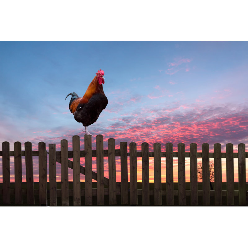 Rooster Crowing on a Wooden Fence at Sunrise 1 Piece Wrapped Canvas Wall Art, 30cm H x 46cm W x 3.8cm D
