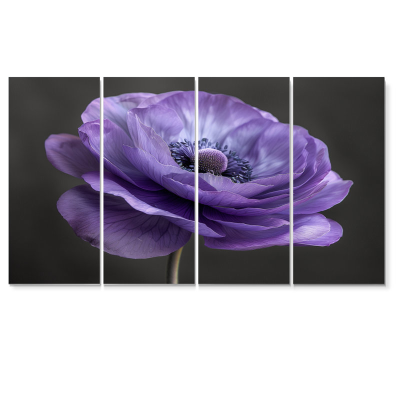 Noir et mauve renoncule Nature Nuance II - renoncule, ensemble d'art sur toile, H 28 po x l 48 po