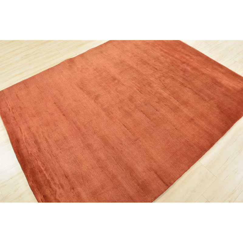 Hand Knotted Wool Indoor Rug