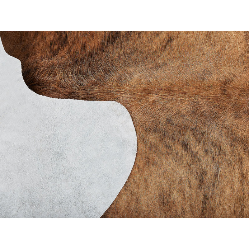 Soti Animal Print Cowhide Area Rug, Novelty 210 x 220cm