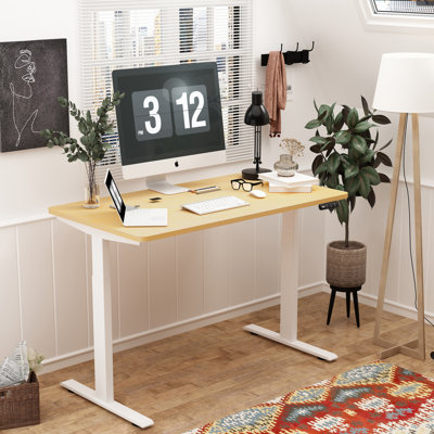 Dual Motor Height Adjustable Standing Desk by ALFA Furnishing