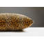 Wild Glamour Square Pillow Cover & Insert