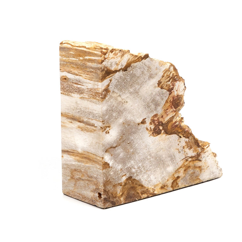 Petrified 2 Piece Wood Book End Set