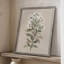 «White Floral Stem II», reproduction encadrée - bois massif 48598-378339575