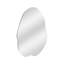 Abdalmalak Free Form Wall Mirror
