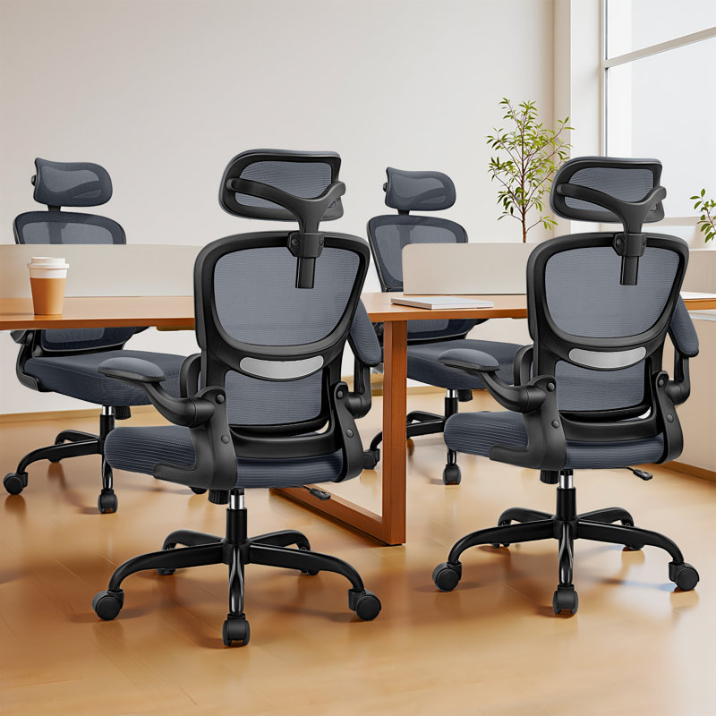 Lidwien Ergonomic Breathable Mesh Office Chair with Adjustable Headrest and Flip-Up Arms, Black/DarkGray