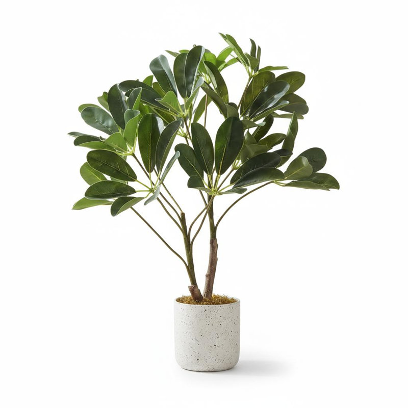Faux arbre parasol Schefflera avec pot de fleurs, 17,7 po x 3,6 po