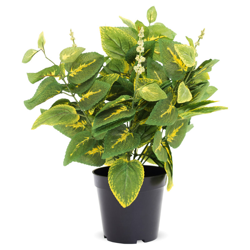 40cm Faux Coleus Tree in Earthenware Pot