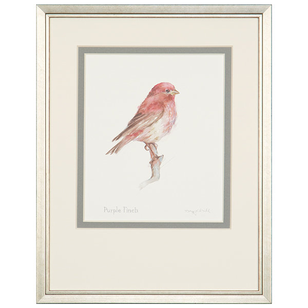 Purple Finch Print by Daughdrill