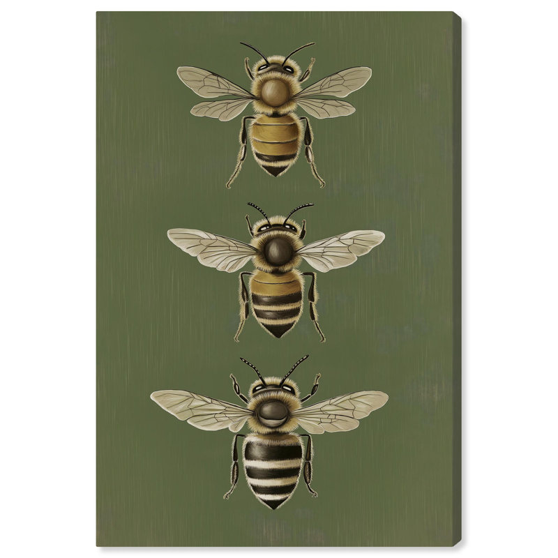 Anatomie de l'abeille , H 45 po x l 30 po, Toile tendue avec châssis