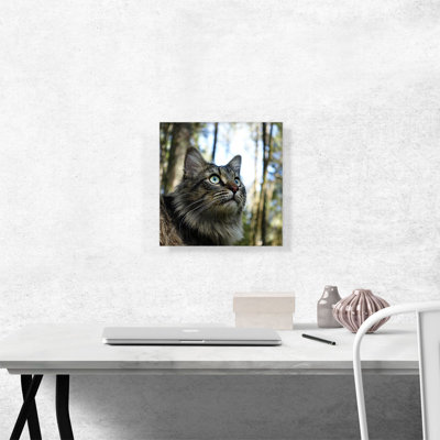 Gris gris, forêt norvégienne, décoration de maison sur toile tendue