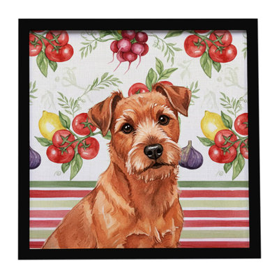 Red Norfolk Terrier Vegetables Framed Metal Print