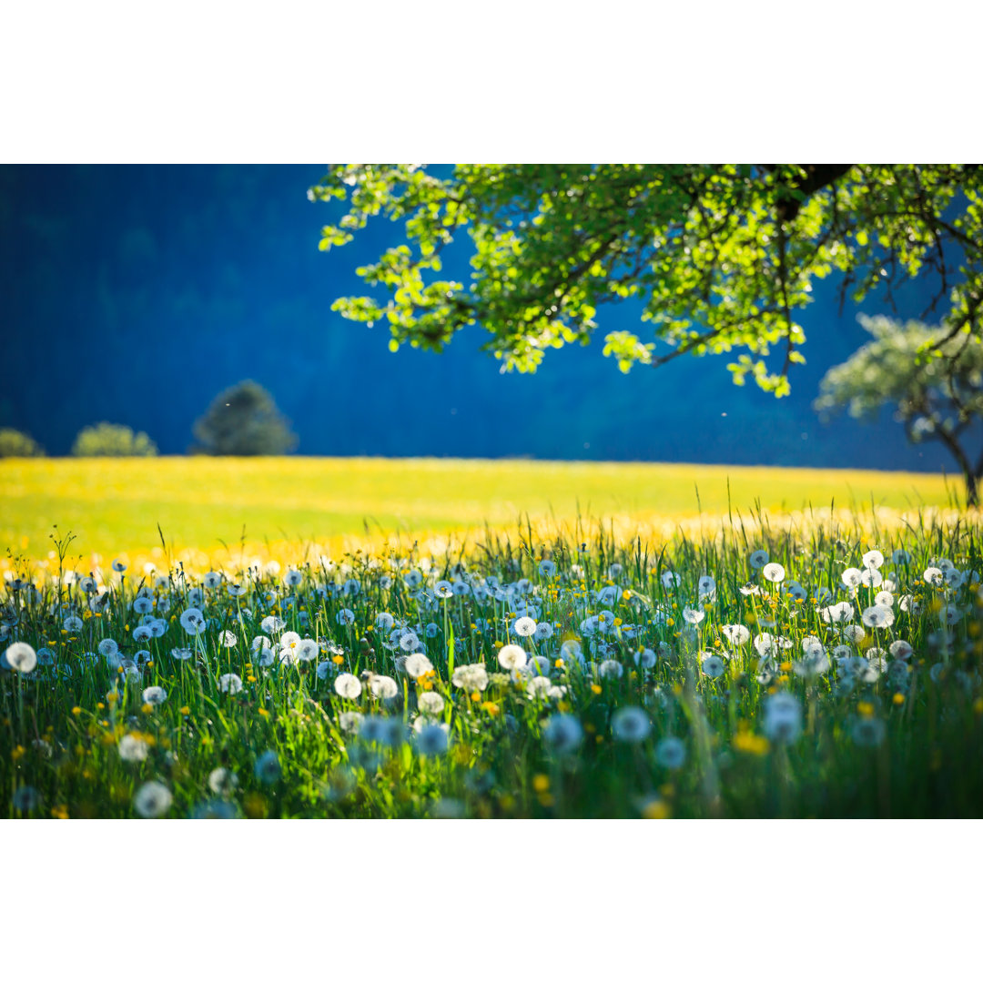 Alpen-Landschaft - Druck