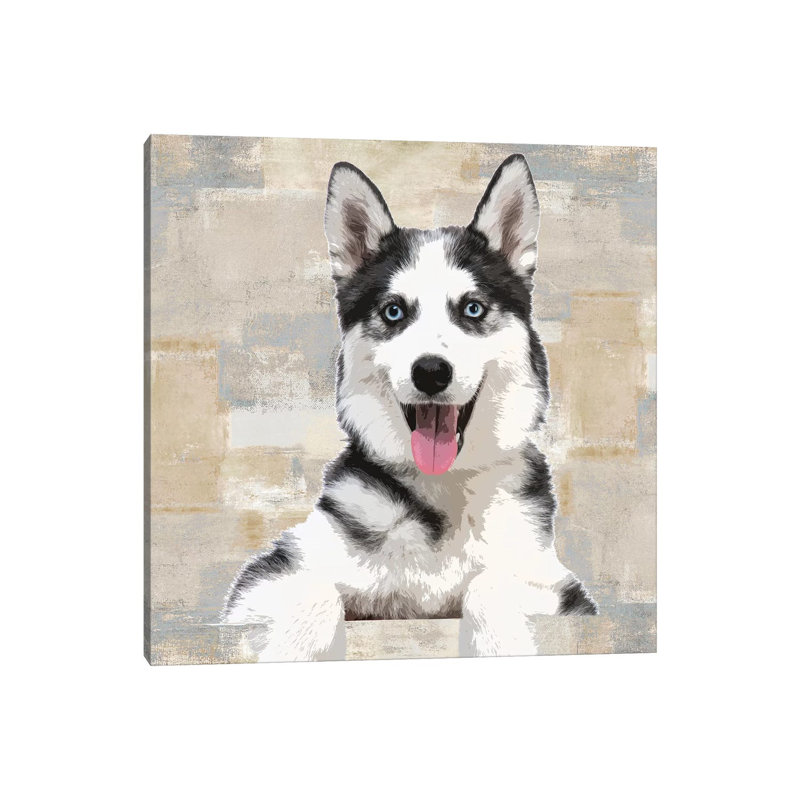 Siberian Husky by Keri Rodgers - Wrapped Canvas Print, 45.72 cm H x 45.72 cm W x 1.91 cm D