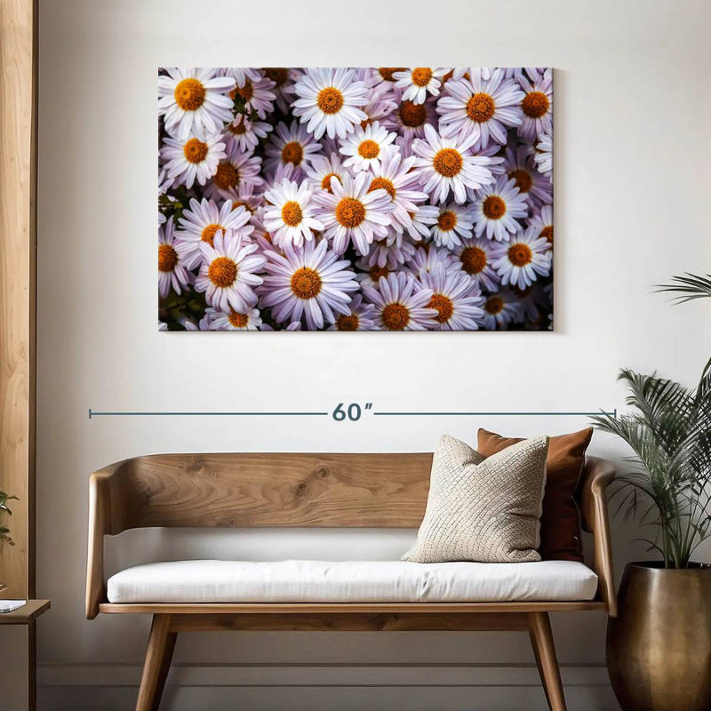 Harnek Shasta Daisies, 30" H x 45" W