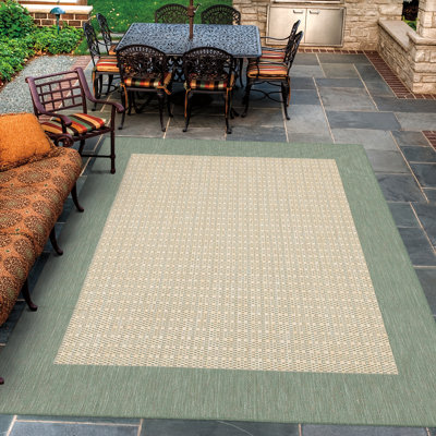 Sania Flatweave Natural Green Indoor Outdoor Area Rug