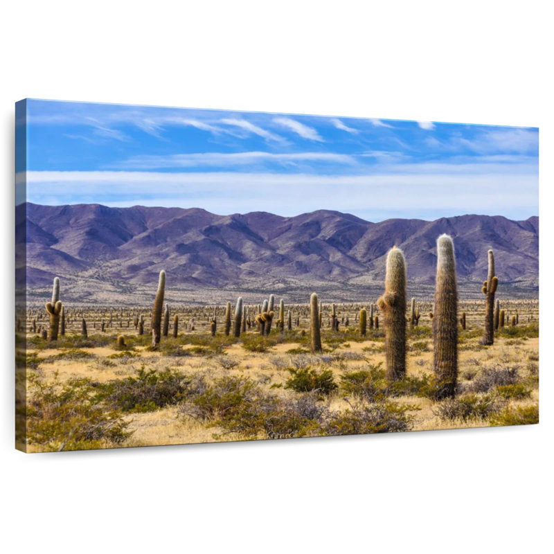 Harnek Los Cardones Cactus, 8" H x 12" W