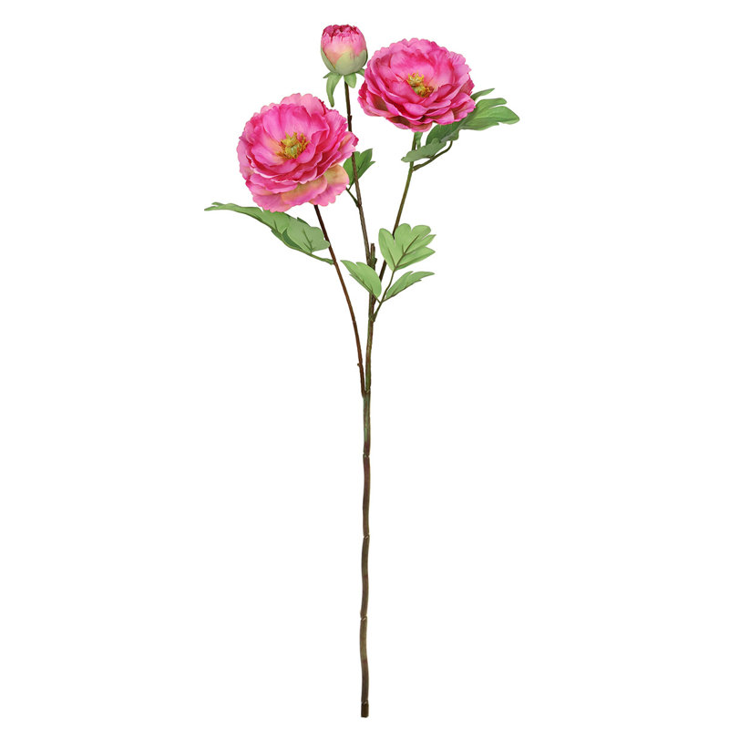 Tiges de pivoines, Fuchsia