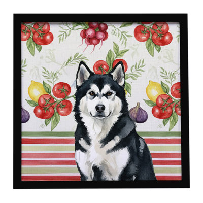 «Black and White Alaskan Malamute Légumes», reproduction sur métal encadrée