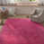 Rose vif