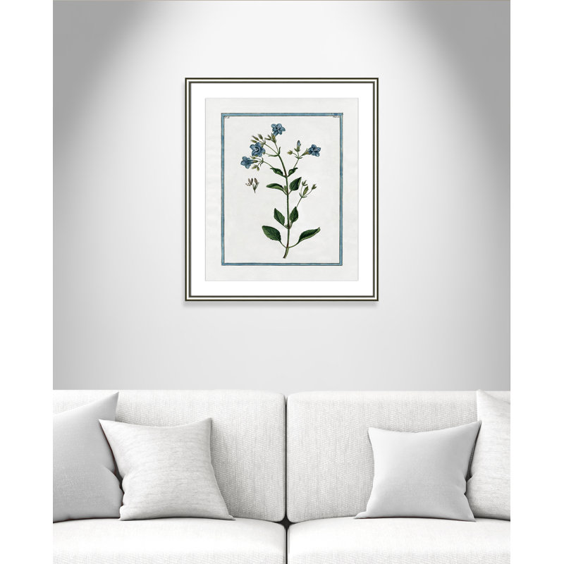 Colombe Shabby Elegance Botanical II - Framed Art, 22.75" W x 26.75" H, Silver Framed
