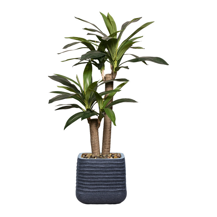 51.57'' Faux Corn Plant in Planter