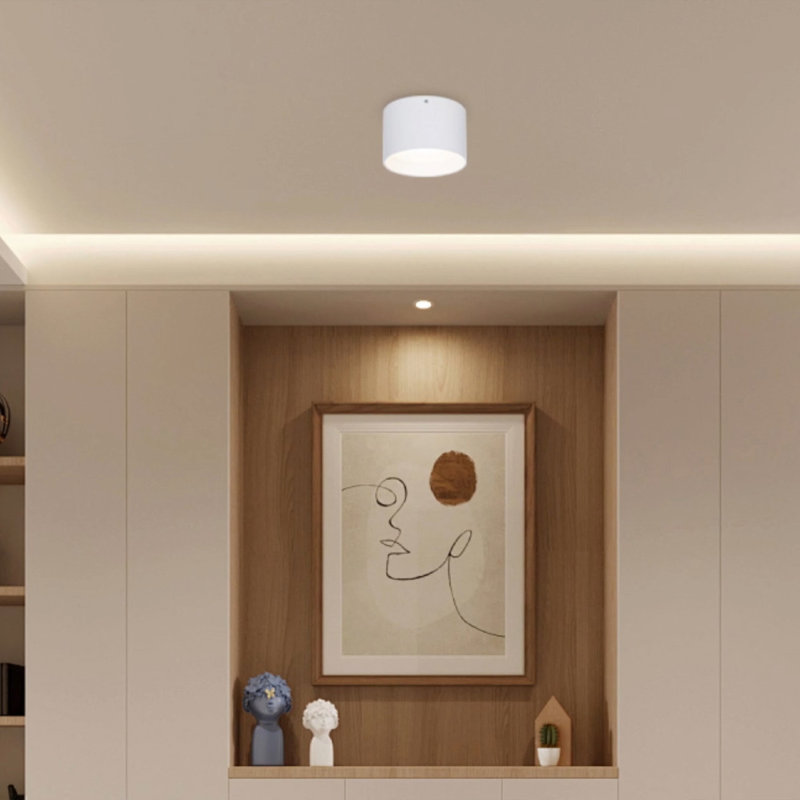 Forma 5.5in LED Cylinder Flush Mount 5-CCT 2700-3000-3500-4000-5000K Selectable Color Temperature 10W 625 Lumens in White