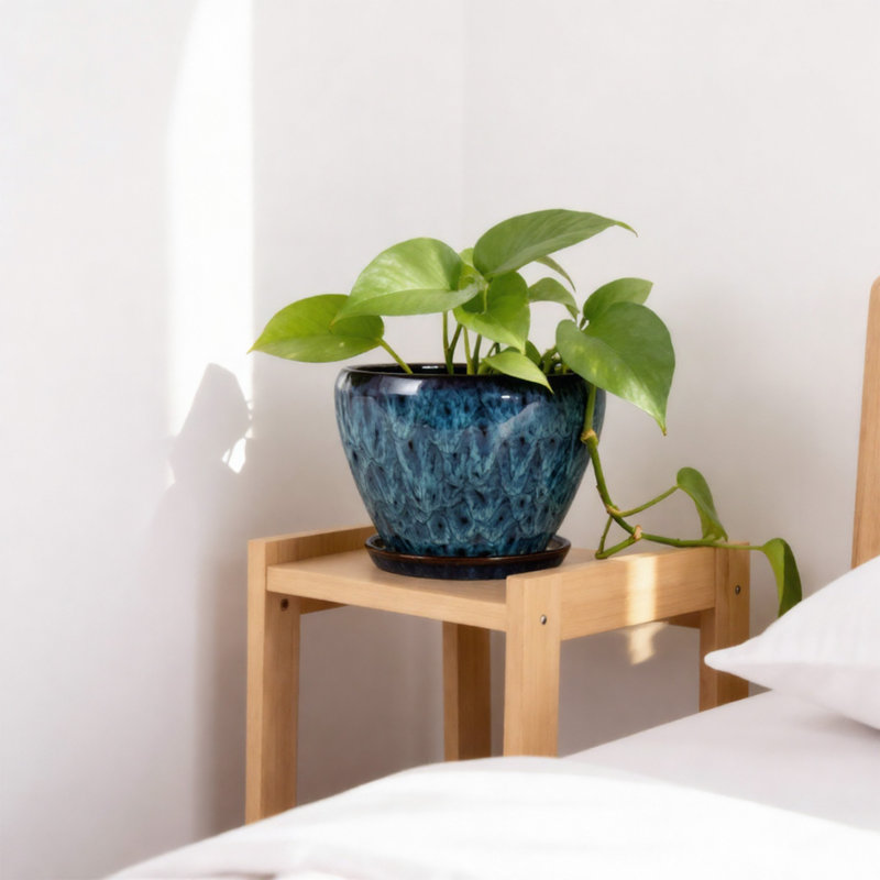 Pot à fleurs en céramique avec trou de drainage et soucoupe