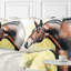 Portrait de cheval brun - coussin imprimé animal-29516931-29516935