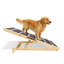 6 rampes pliables en bois pour animaux de compagnie à hauteur réglable avec coussin antidérapant