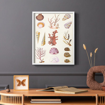 Coral & Shell Collage II, reproduction encadrée - bois massif