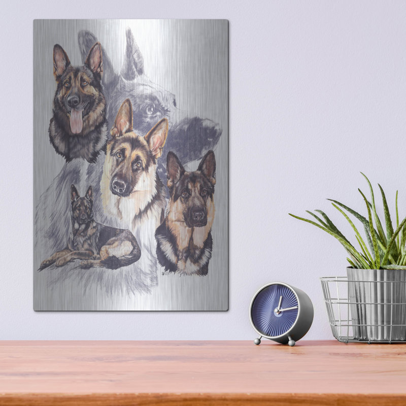«German Shepard» par Barbara Keith, H 16 po x l 12 po