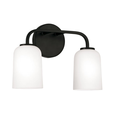 2 - Light Dimmable Vanity Light