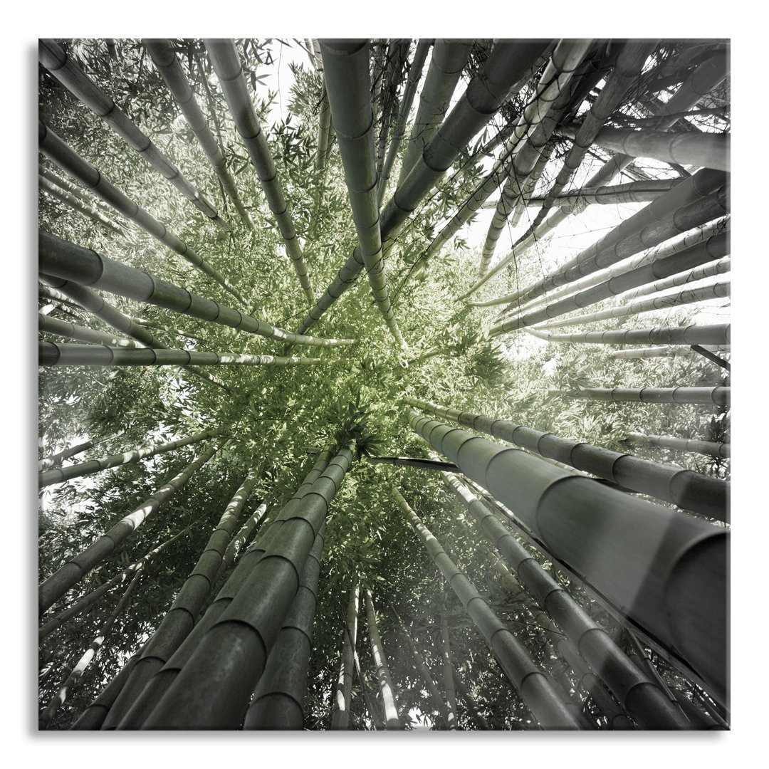 Glasbild Green Bamboo