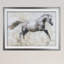 Gallop - reproduction de cadre photo-33960373-31992253