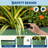 2 Pcs Raised Garden Beds Outdoor 10x4x1.5 ft - Galvanized Steel Planter Box for Vegetables, Flowers, Rust-Resistant Garden Box, Easy Assembly Raised Beds, Durable Planters, Green-757167980-757167952