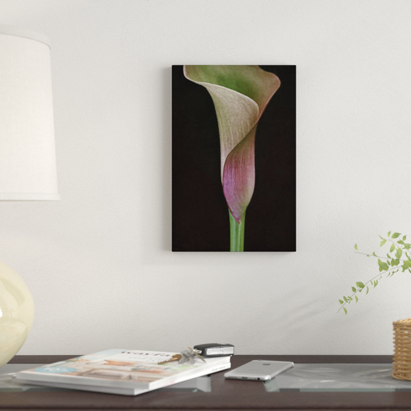 Calla Lily I, reproduction sur toile, H 26 po x l 18 po x P 1,5 po, Toile avec cadre noir, Pas de tapis