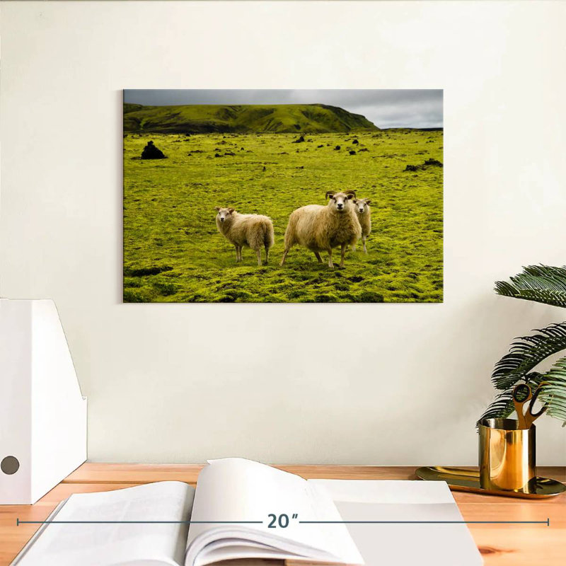 Crowle Icelandic Sheep, 8" H x 12" W