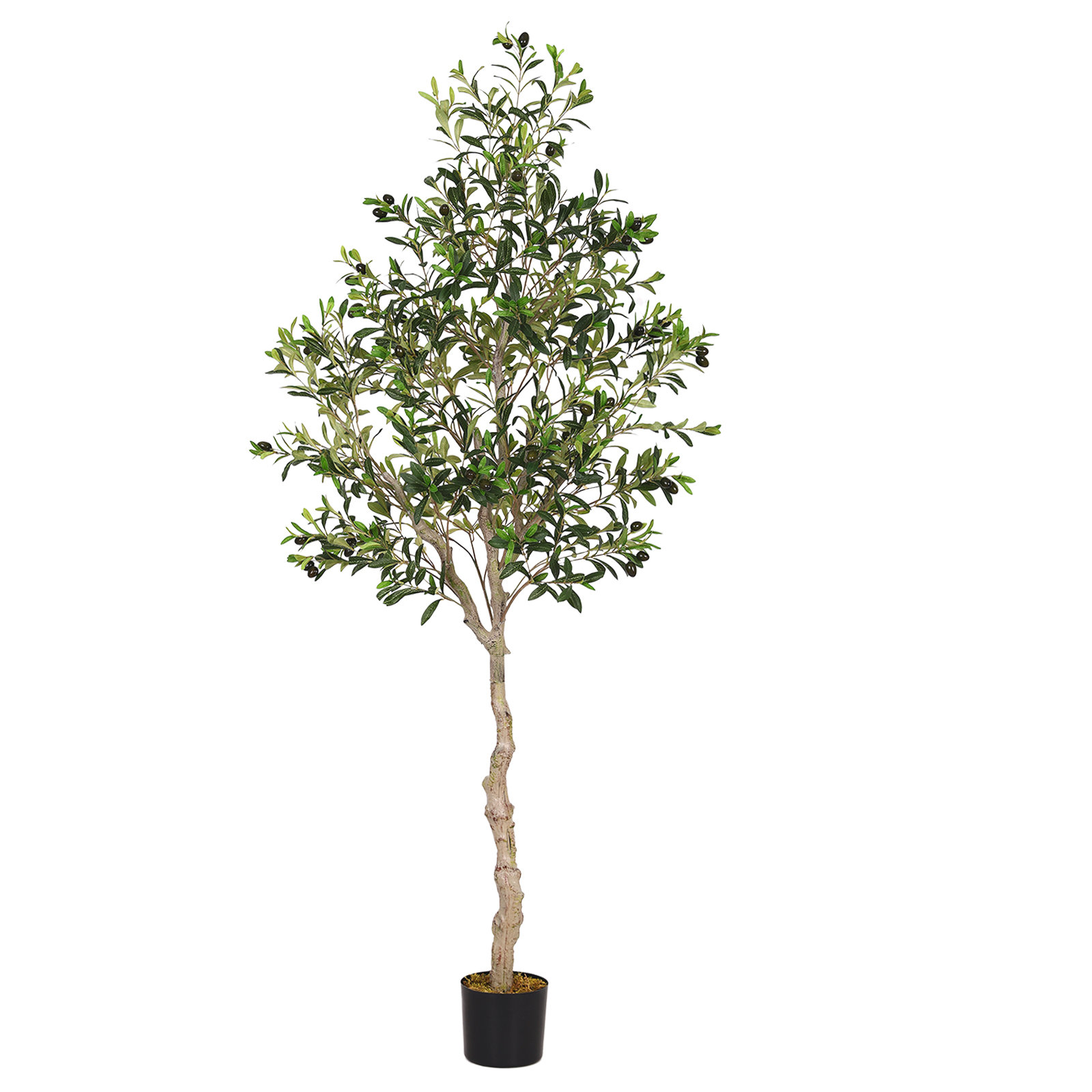 Aarav Artificial Olive Tree in Pot, 78" H x 33.5" W x 33.5" D